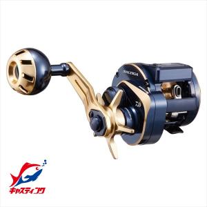 DAIWA（ダイワ） ソルティガIC 100HL-DH : つり具の銭屋 - 通販