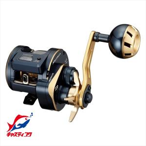 ダイワ 21 ソルティガIC 300H-SJ(右ハンドル) : フィッシング いちだ