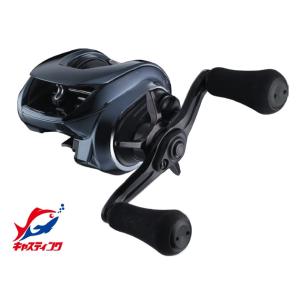 DAIWA（ダイワ） 20 スティーズ AIR TW 500XXHL / STEEZ AIR TW ベイト