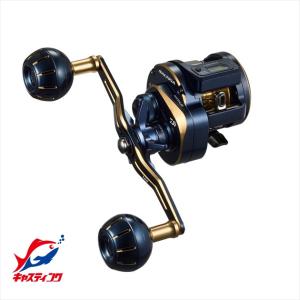DAIWA（ダイワ） ソルティガIC 100H-DH : つり具の銭屋 - 通販 - Yahoo