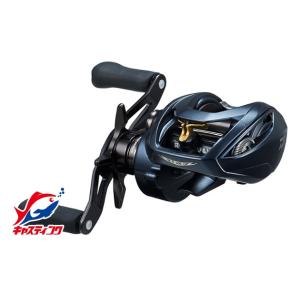 DAIWA（ダイワ） 23 スティーズ A II TW 1000XH 右ハンドル / ベイト