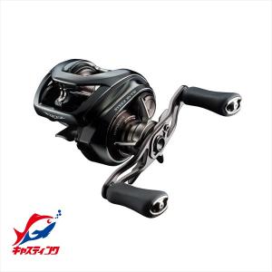 DAIWA（ダイワ） ○ダイワ 23 スティーズ A II TW 1000XHL （左