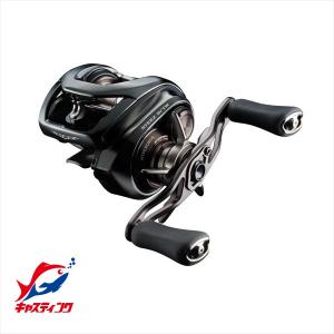 DAIWA（ダイワ） 24 スティーズ SV TW 100XHL 左ハンドル (2024年