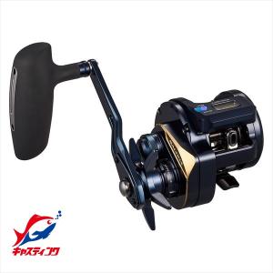 DAIWA（ダイワ） [90] 25 ソルティガ IC 300H-SJ-C (G1) : かめや釣具