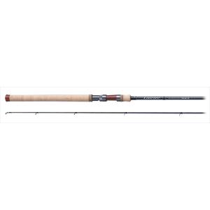 Daiwa ダイワ WISE STREAM 86MH-3 中禅寺湖 中古ロッド DAIWA（ダイワ