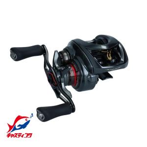 DAIWA（ダイワ） 24スティーズ SV TW 100XHL : つり具の銭屋 - 通販