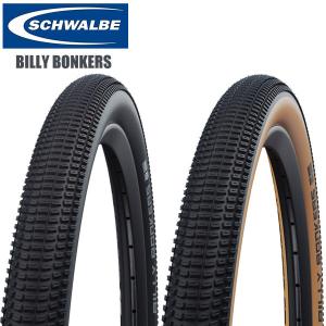 Panaracer（パナレーサー） 2本セット GRAVELKING SS グラベルキングSS