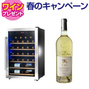 ワインセラー スタイルクレア イニッチオ inizio SI-01 ワインクーラー