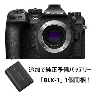 30日保証/新品/即納】OLYMPUS ミラーレス一眼カメラ OM-D E-M1 MarkII