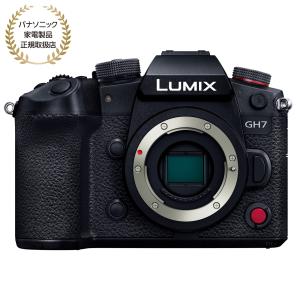 LUMIX パナソニック(Panasonic) LUMIX(ルミックス) ミラーレス一眼