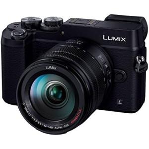 Panasonic（パナソニック） ルミックス GX7MK3 標準ズームレンズキット