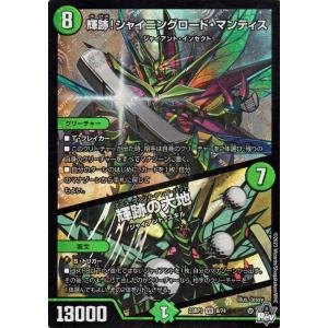 デュエル・マスターズ 荒廃と豊穣の決断(ベリーレア) 双竜戦記（DM23