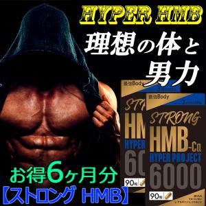 公式ショップ 正規品 9袋セット ボディマスター BODYMASTER HMB NMN