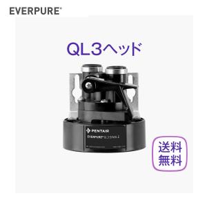 エバーピュア 7CB5-S 浄水器カートリッジ 業務用 : 厨房 キッチン