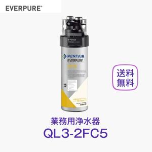 エバーピュア 7CB5-S 浄水器カートリッジ 業務用 : 厨房 キッチン
