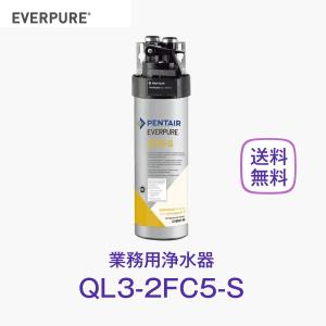 エバーピュア 2FC-S 浄水器カートリッジ 業務用 : 厨房 キッチンプラス