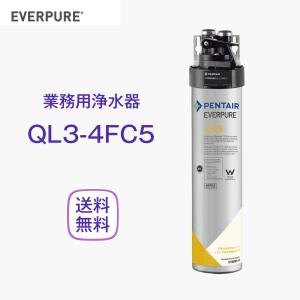 エバーピュア QL3-4DC 浄水器 業務用 フィルターヘッド付 : 厨房