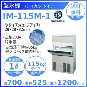 ホシザキ（HOSHIZAKI） 製氷機 業務用 IM-35M-2-LM ビッグアイス