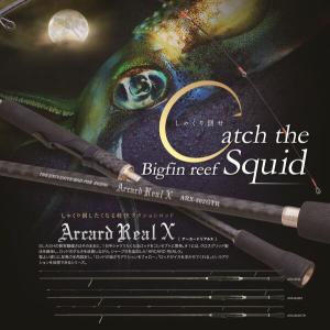 SLASH（スラッシュ） ARX-802GTR ARCARD REAL-X (アーカードリアルX