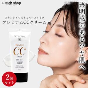 アネッサ パーフェクトUV スキンケアBB ファンデーションa 2 中間的な