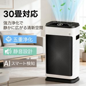サリール 空気清浄機 Salir 空気活性清浄器 KO-108W 据置 壁掛両用型