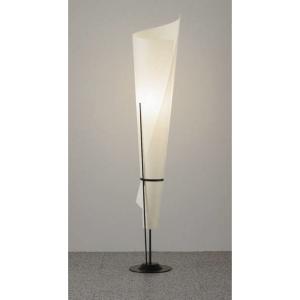 遠藤照明 ENDO LEDフロアスタンド 6500K-2700K 無線調光 黒 白熱電球