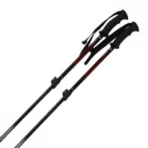 ROSSIGNOL（ロシニョール） スキーストック メンズ レディース 伸縮