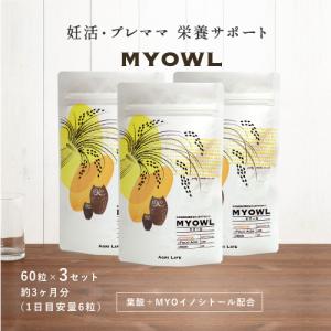 グレイセル ココア 100g GRACELL ウェルネス ダイエット 3袋