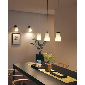 ODELIC（オーデリック） ペンダントライト 【OP252748LC】【OP 252