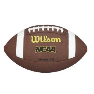 ウィルソン) Wilson Duke Replica NFL アメリカンフットボール RD2086