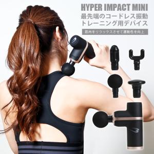 レッグストレッチャーCP BODYMAKER ボディメーカー ハイキック 空手