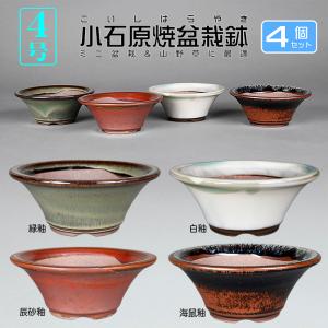 盆栽鉢 色鉢 白均釉外縁丸鉢 陶器 3号 10.5cm ホワイト 小品盆栽 ミニ