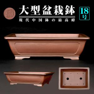 盆栽鉢 紫泥外縁下紐楕円鉢 植木鉢 中国鉢 張氏製陶 落款あり 17号