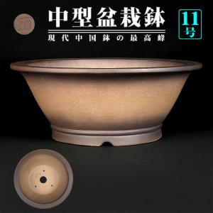 盆栽鉢 紫泥外縁胴紐楕円鉢 植木鉢 中国鉢 張氏製陶 落款あり 15号