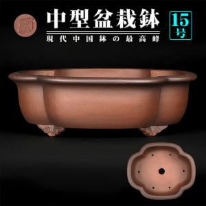 盆栽鉢 紫泥外縁木瓜式鉢 植木鉢 中国鉢 張氏製陶 落款あり 18号 55cm