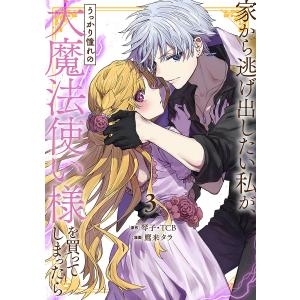 家から逃げ出したい私が、うっかり憧れの大魔法使い様を買ってしまっ