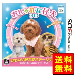 3DS】日本コロムビア すみっコぐらし ここがおちつくんです [ハッピー