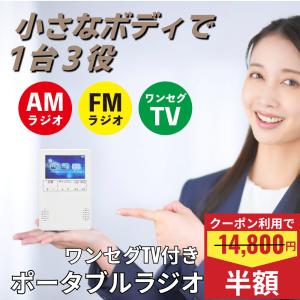災害対策グッズ 2.8インチ 多機能ポータブルテレビ ワンセグテレビ FM