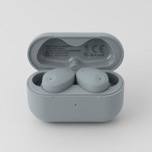 final 完全ワイヤレスイヤホン ZE3000 SV FI-ZE3SDPLTW イヤホン本体