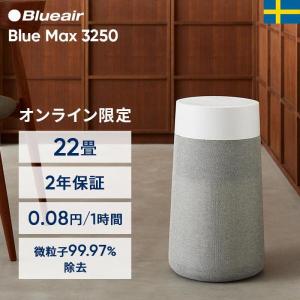 Blueair 空気清浄機 Blue Mini Max 111521 グレー 空気清浄機本体 - 最