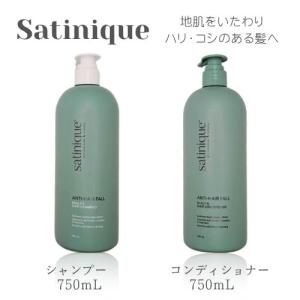 Amway アムウェイ サテニーク エクストラ シャンプー （地肌ケア