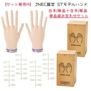 滝川（TAKIGAWA） 【単品セット販売C】 JNEC認定 STモデルハンド 右手