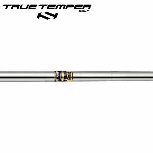 TRUE TEMPER（トゥルーテンパー） シャフト アイアン用 ダイナミック