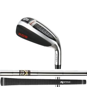 ゴルフ 完成品 クラブ アイアン ピンホーク シングルレングス 右/左打