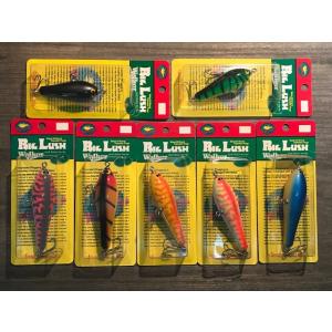 スポーツザウルス ラージマウスビッグ ・新古品 : GIZMO ヤフー店