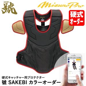 MIZUNO（ミズノ） ＜受注生産＞ 1DJPR95000 一般軟式キャッチャー用