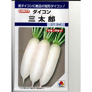 大根 三太郎 7ml タキイ種苗（株） DF : グリーンロフトネモト - 通販