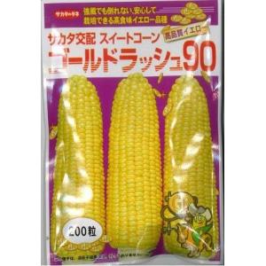 とうもろこし ミルキーシュガー 85 (500粒) トキタ種苗 : グリーン