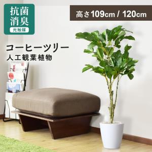 大型 人工観葉植物 140cmプレミアムウンベラータツリー 造花 （別途