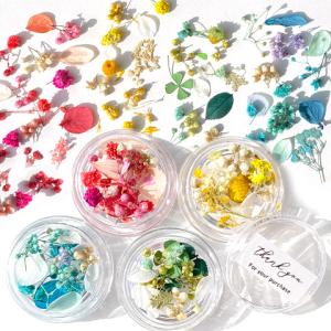 ドライフラワー (27) 3色ケースセット 花材 ブーケ レジン